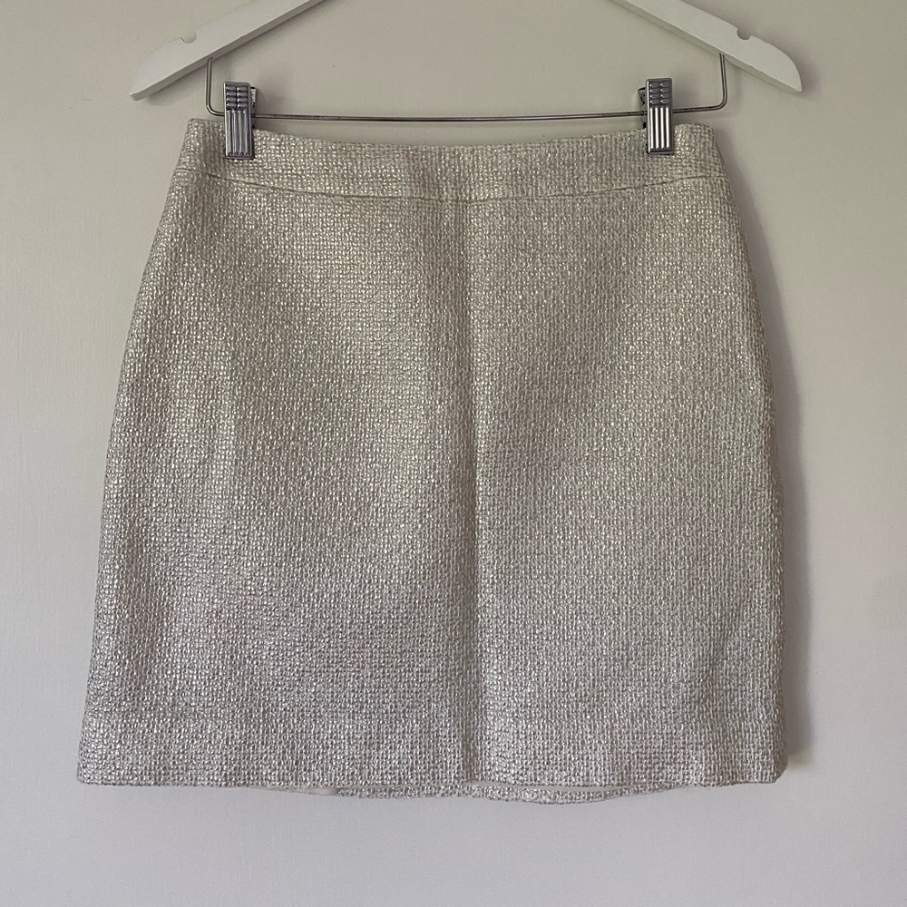 Banana Republic Silver Skirt